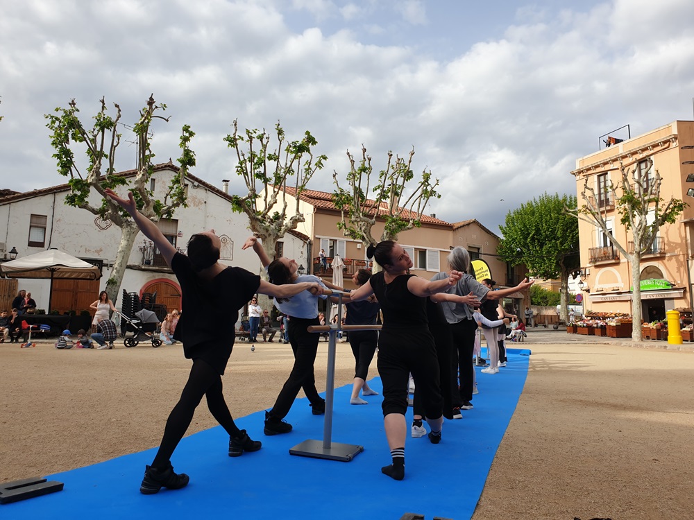 Dia Dansa