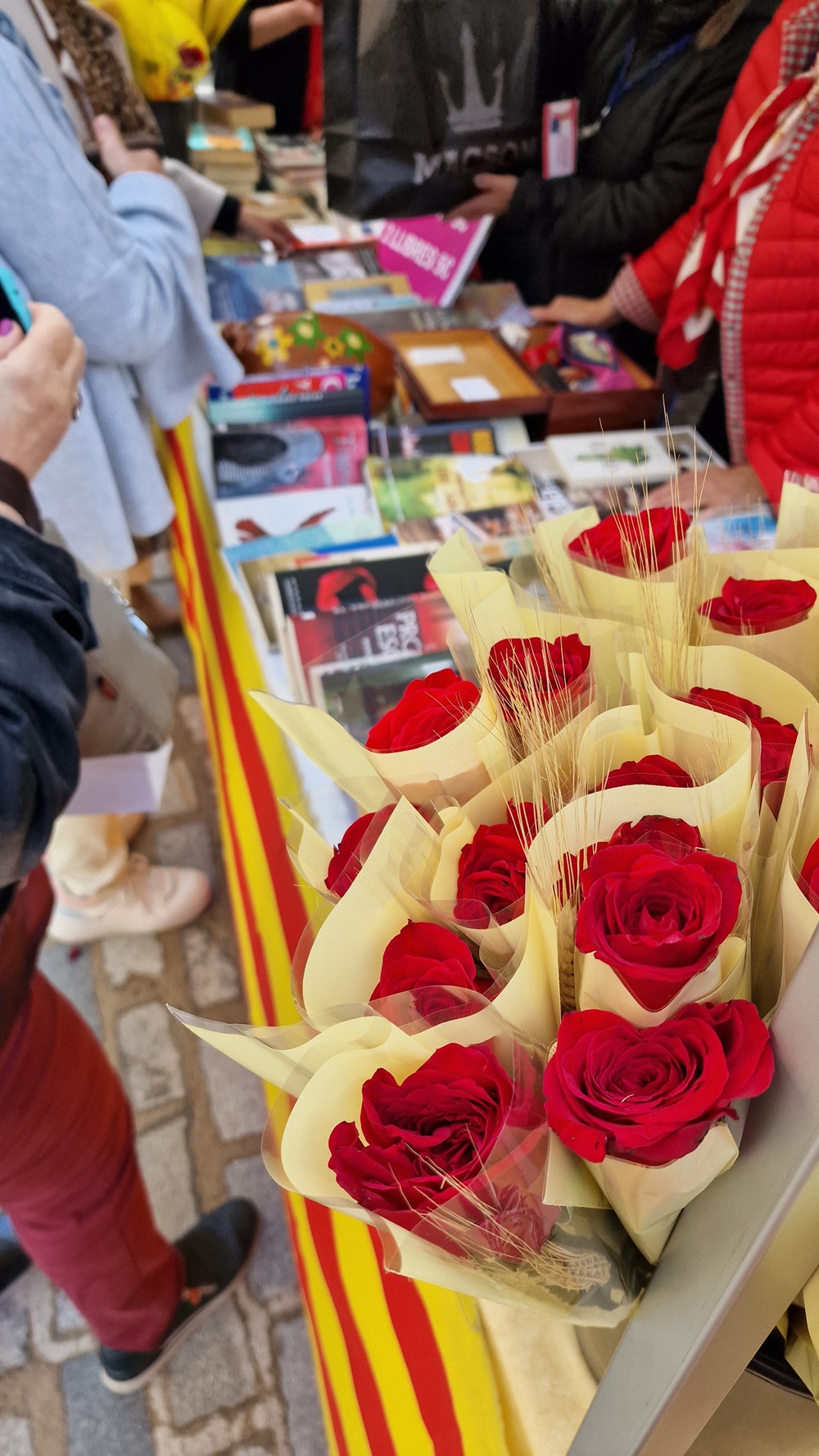 Llibres, roses i altres ingredients per Sant Jordi
