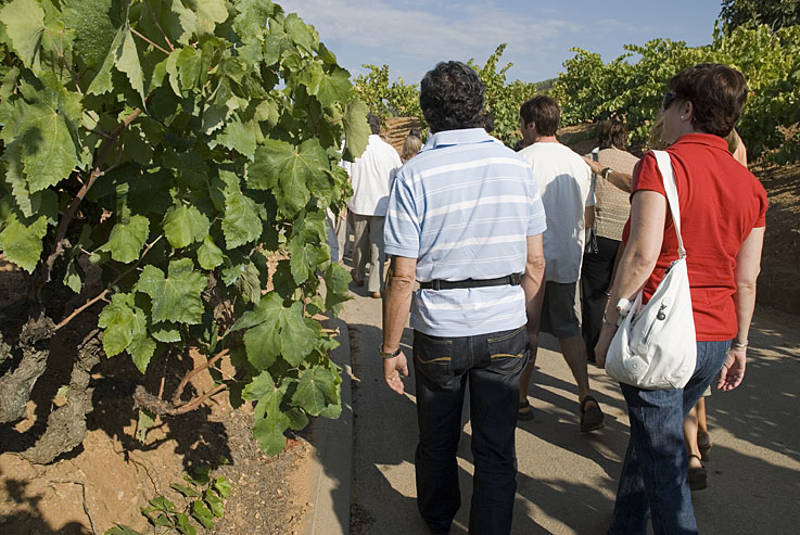 Visites als cellers