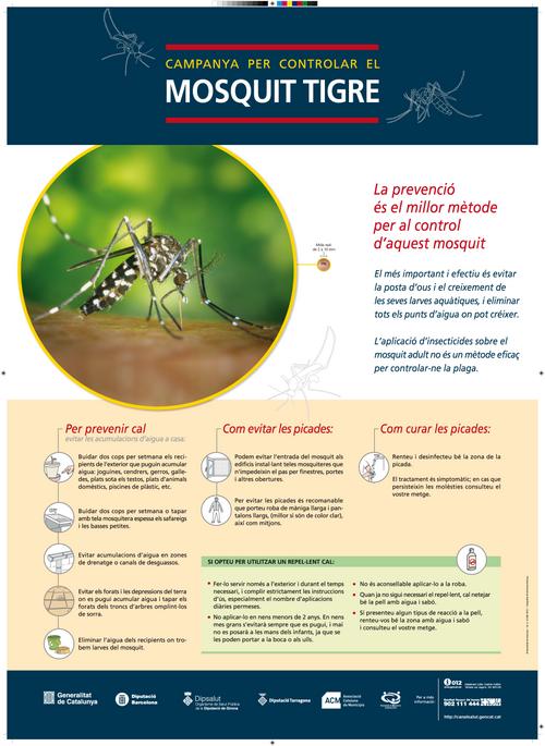 Mosquit tigre