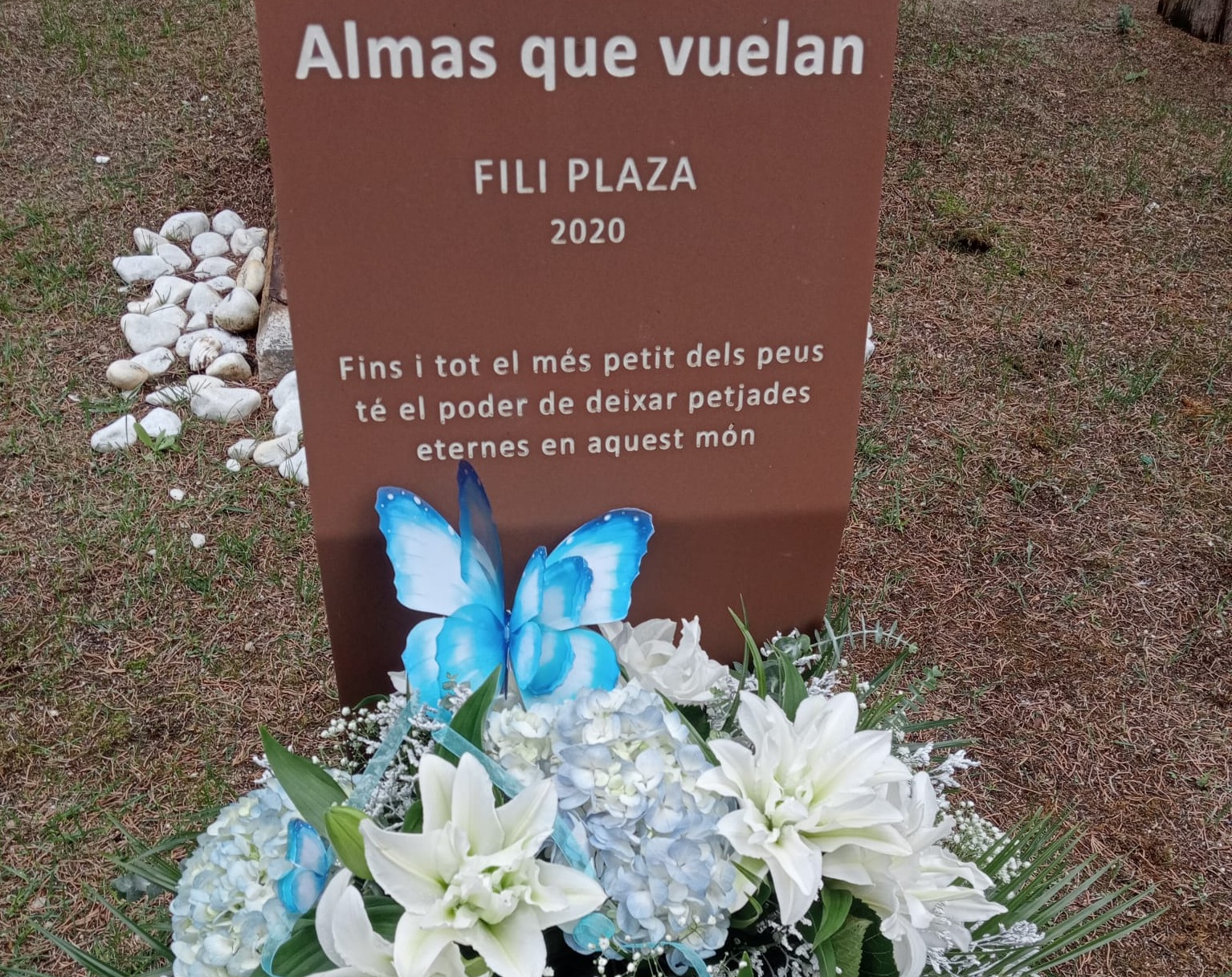 Dia Dol perinatal