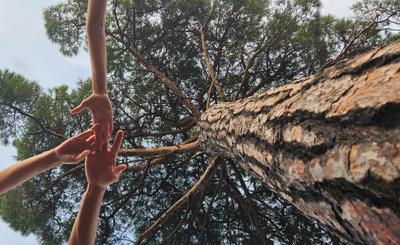 Premi de la categoria infantil: El Parc en companyia, d'Ona Valls Garcia