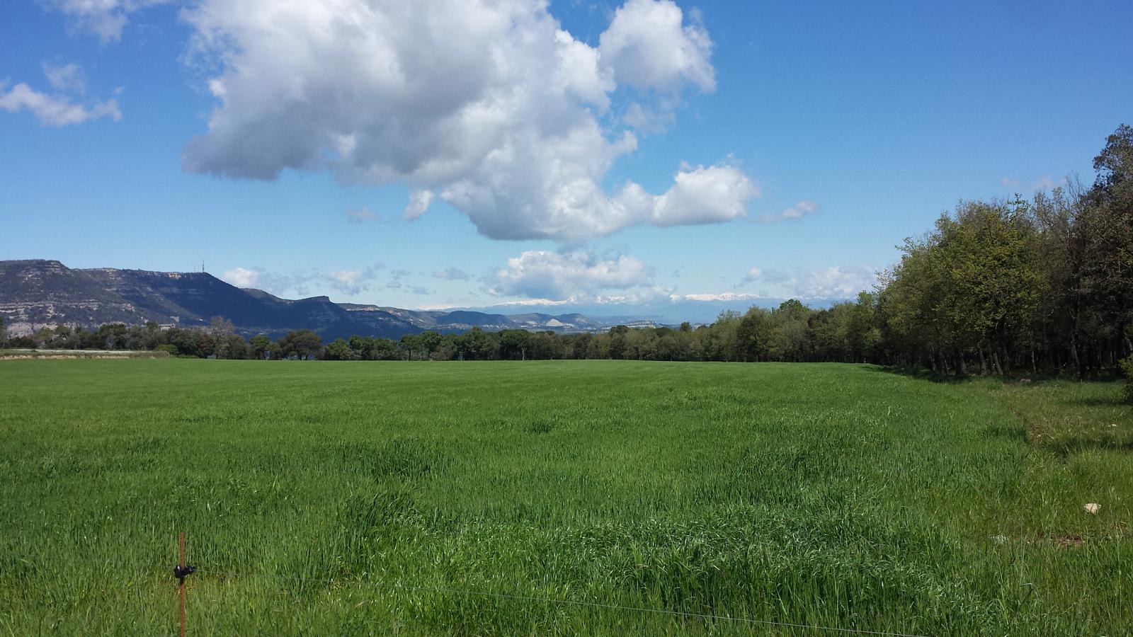 Voltreganès Voltreganès