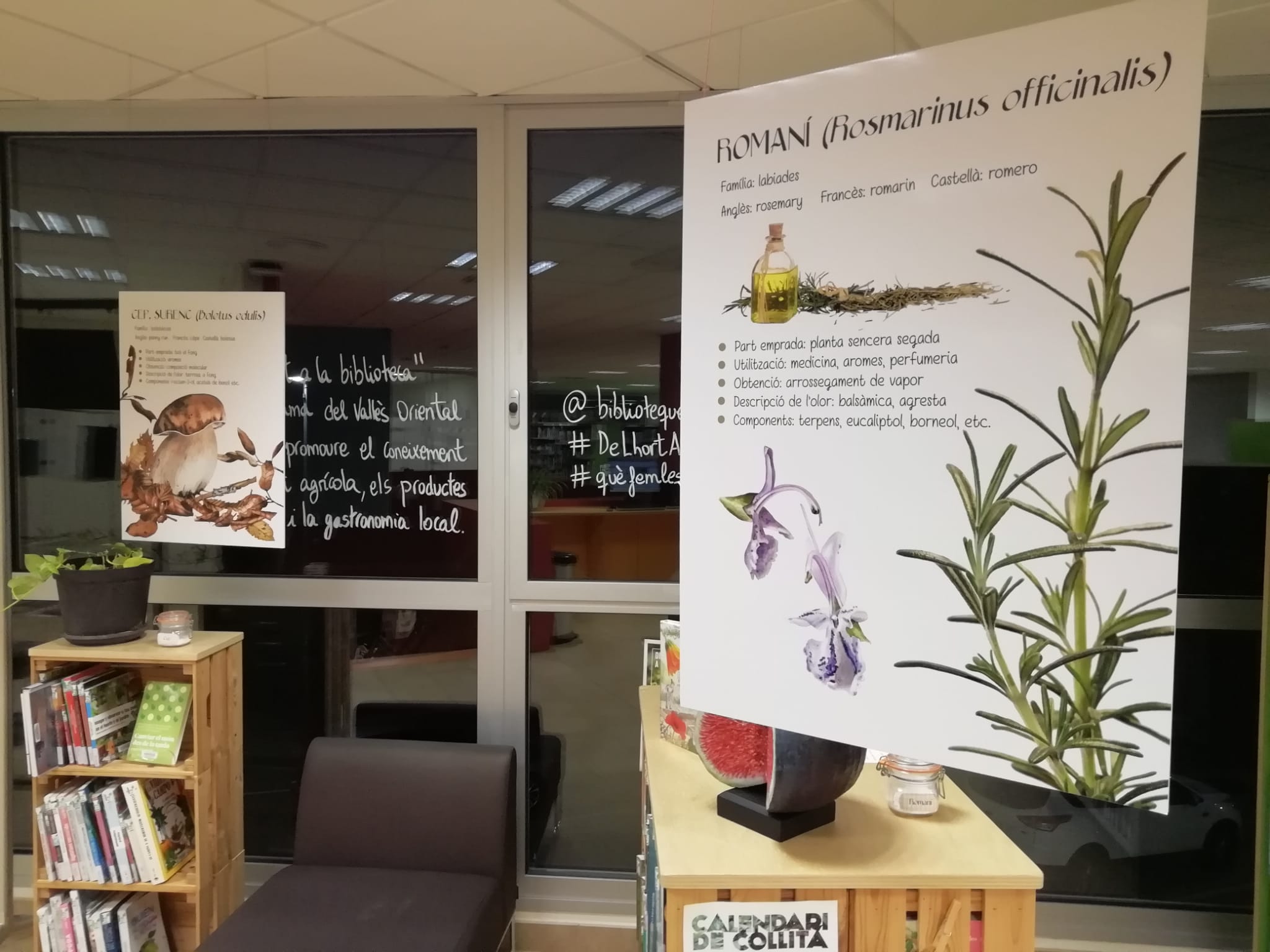 aromes i salbors del bosc.jpg