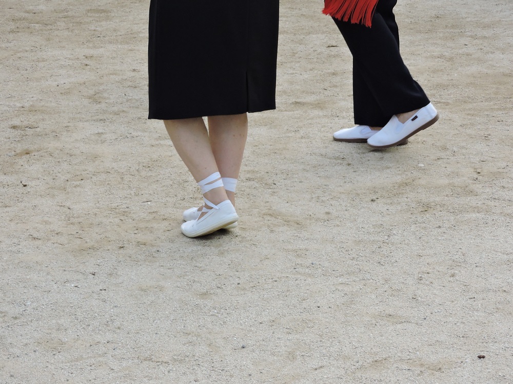 Sardanes