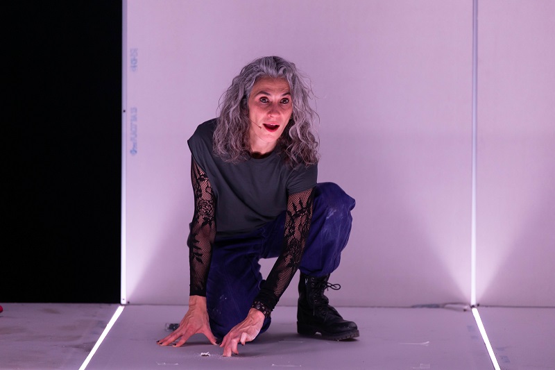 MARIA PAU PIGEM ENCARNA A L'AUTORA VIRGINIE DESPENTES A TEORIA KING KONG