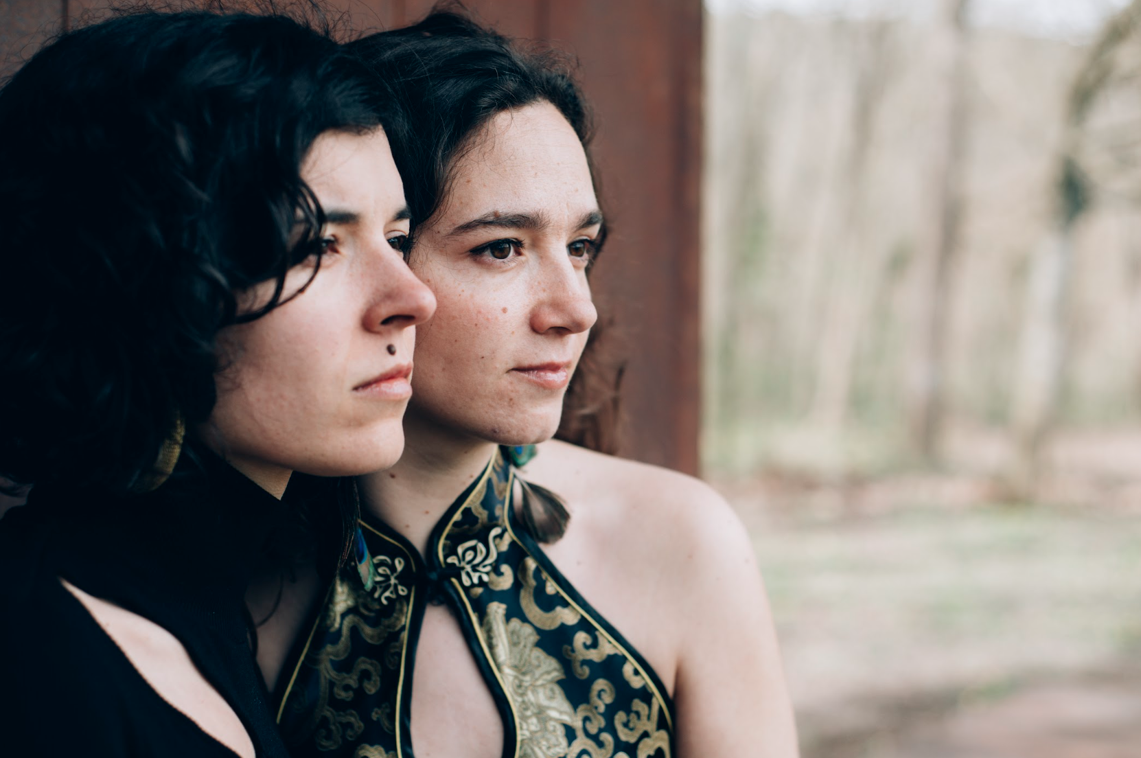 La salamandra La salamandra