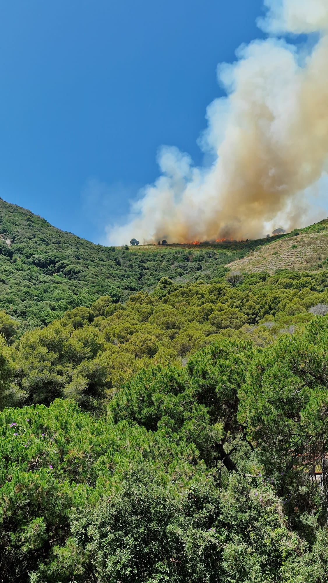 Incendi
