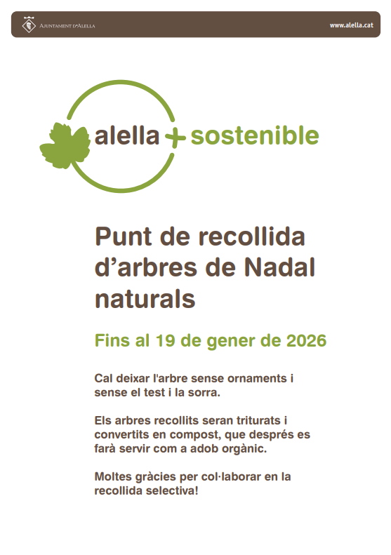 Recollida d'arbres de Nadal