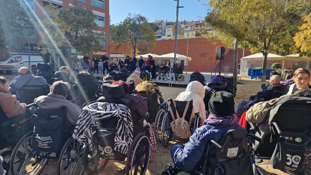 Dia Internacional Persones amb Discapacitat