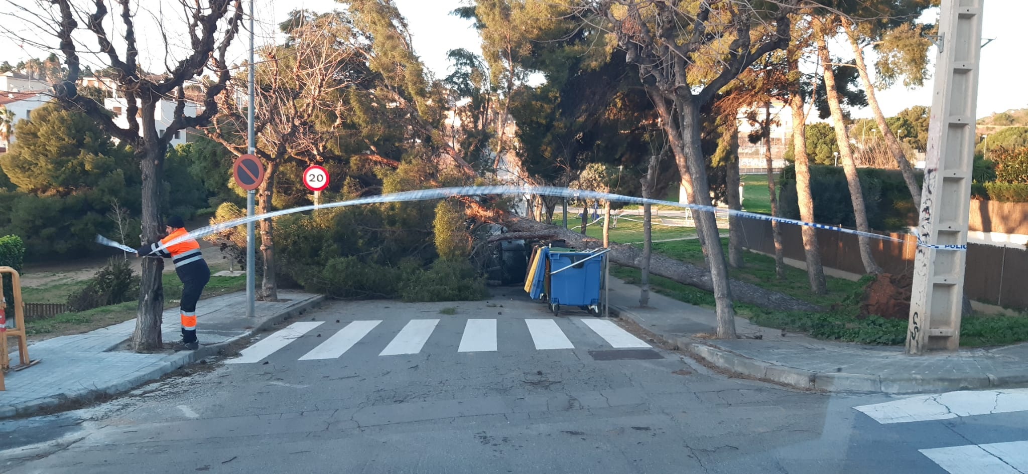 Temporal vent 12 de febrer de 2026