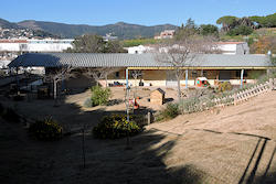 Els Pinyons