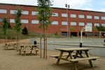 Institut