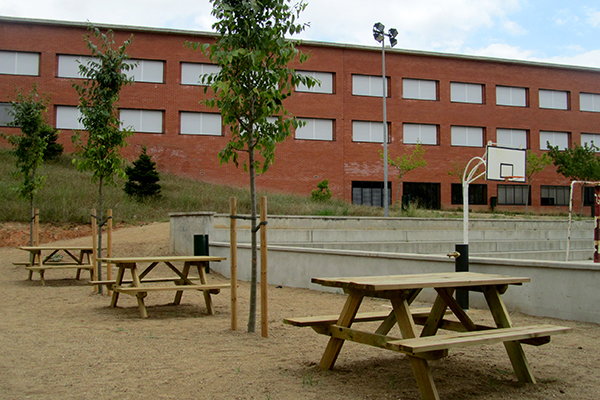 Institut