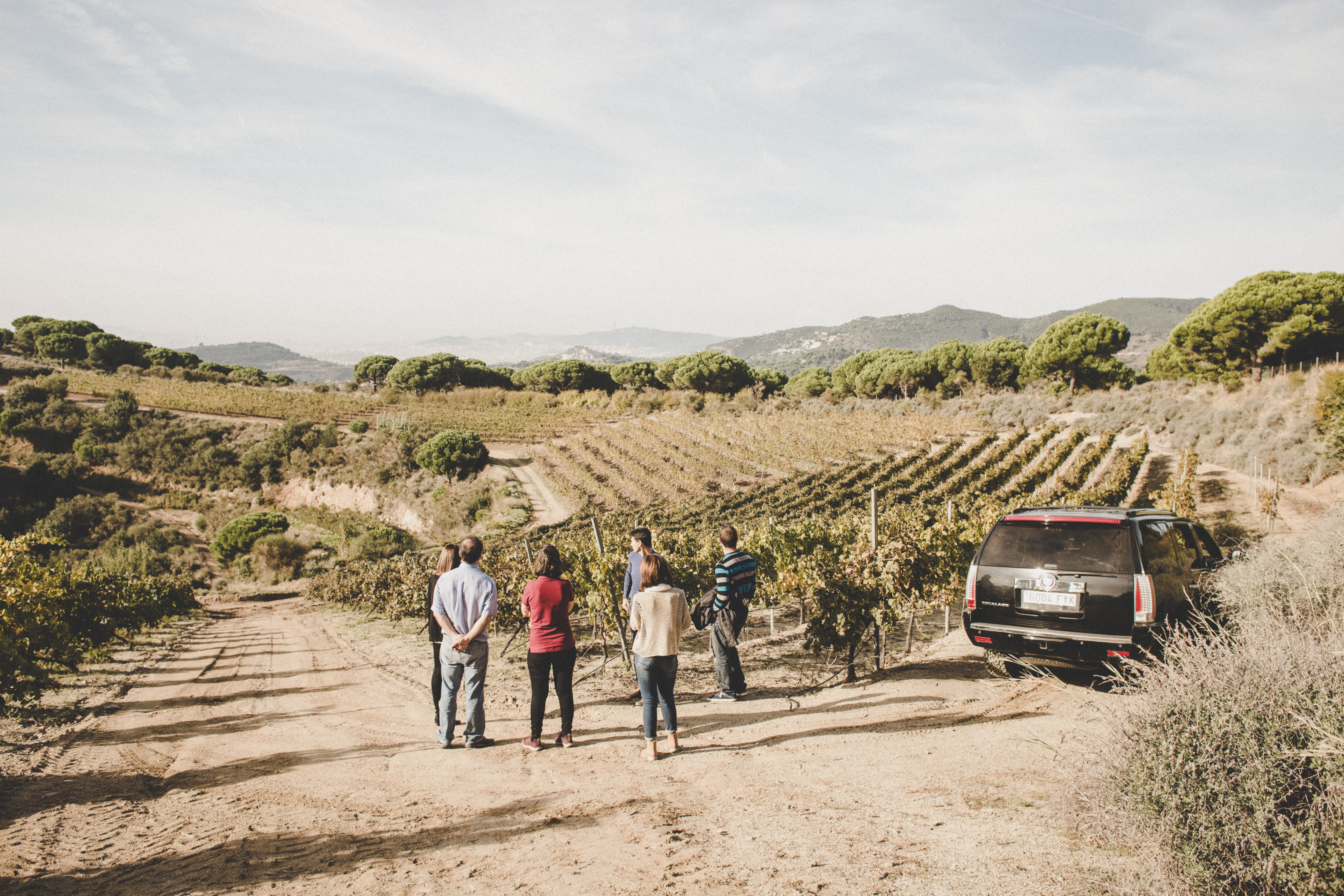Visita especial: 4 vins, 4 vinyes