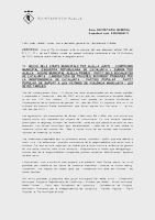 Moció violència masclista ple d'octubre
