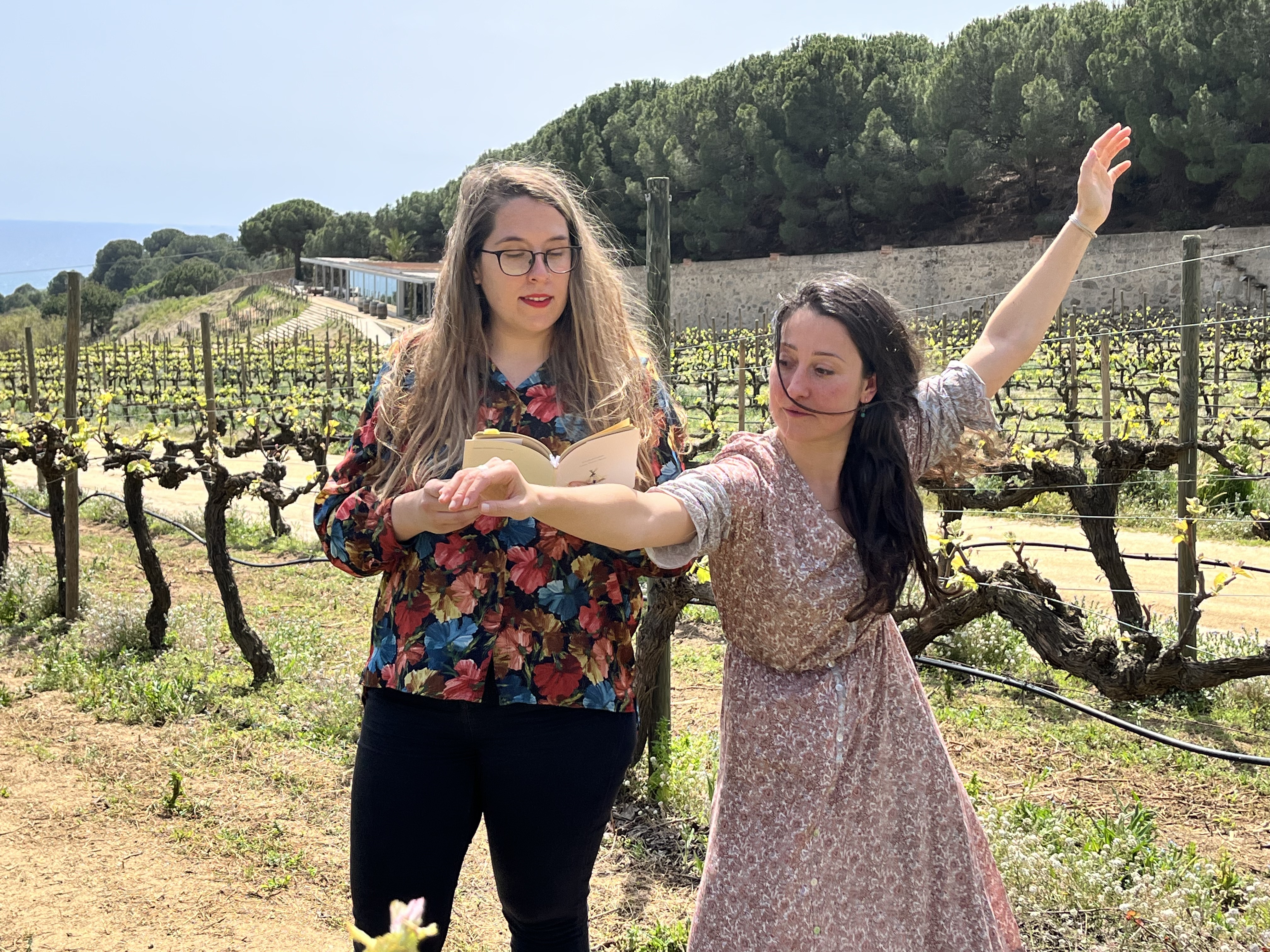 Espais de Poesia. Poesia i dansa entre vinyes