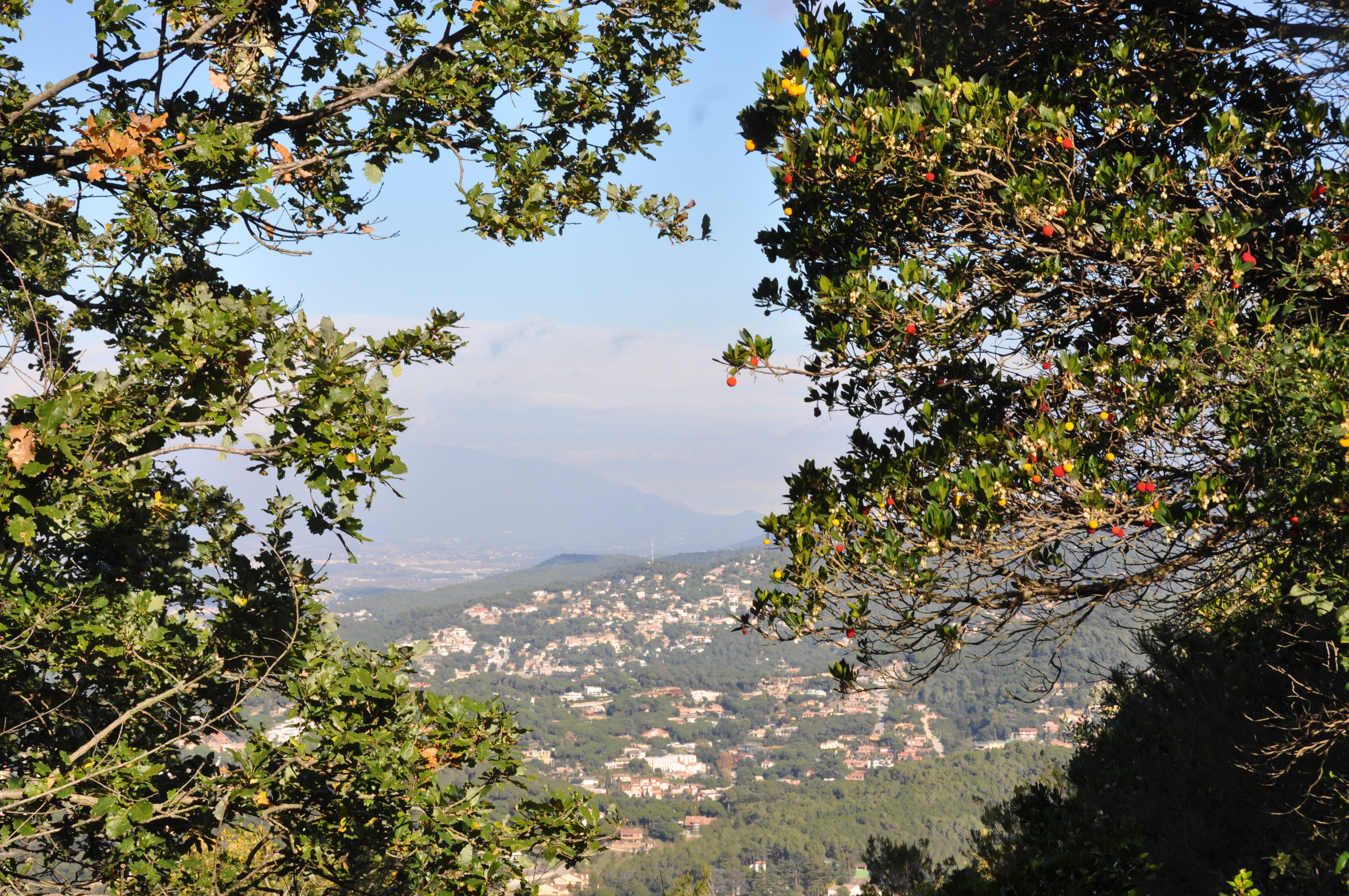 Visita guiadaEls camins antics d'Alella a Tiana