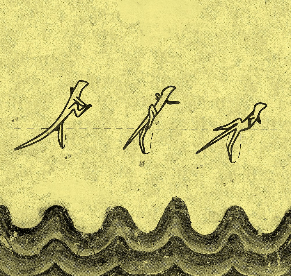 Cartell exposici gener