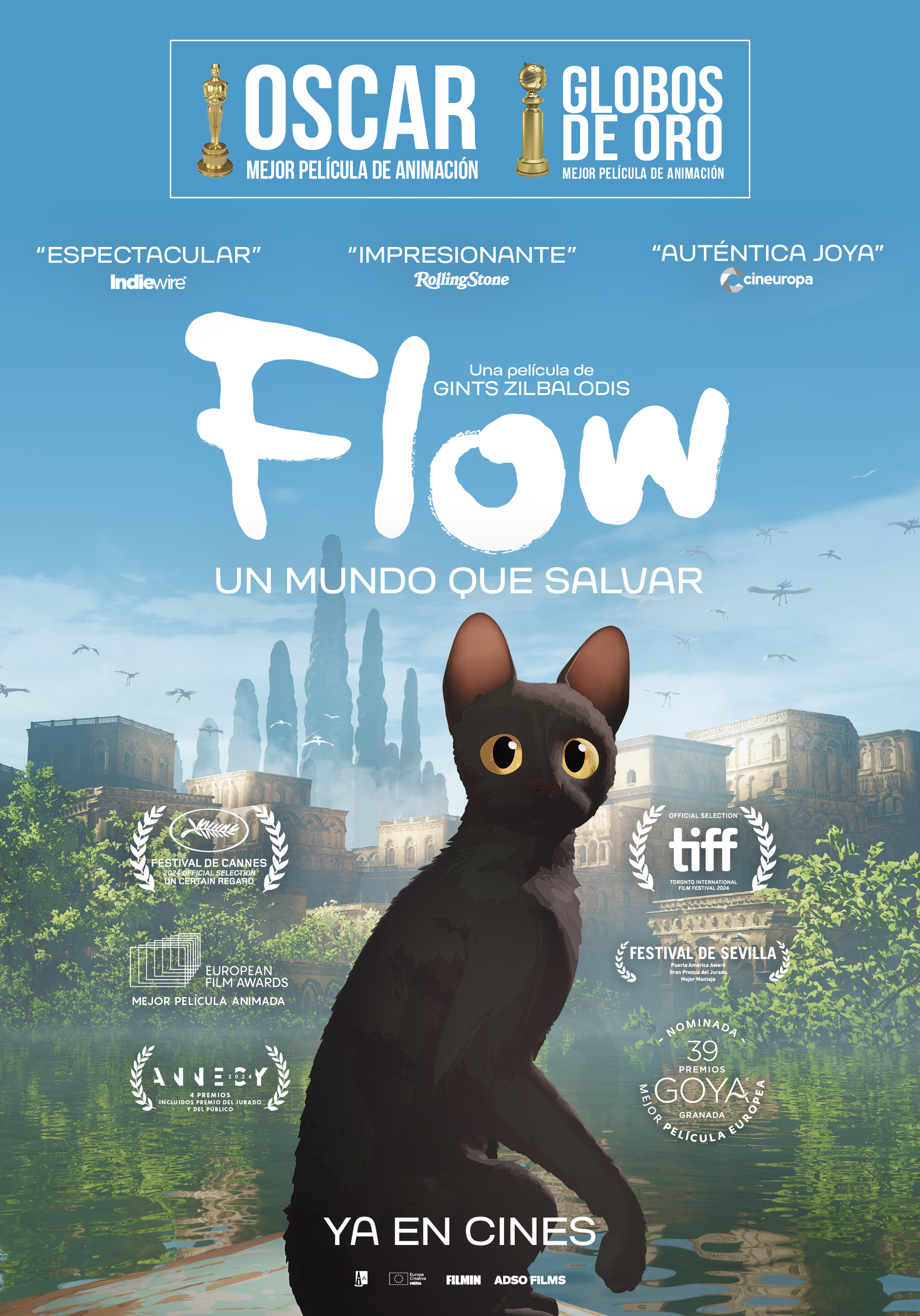 Cinema. Flow