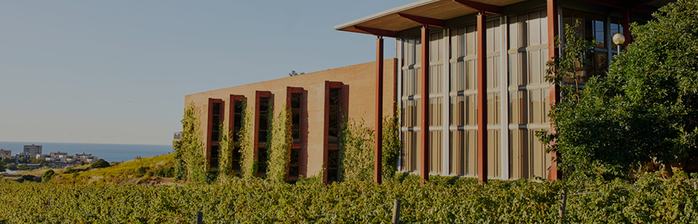 Els cellers d'Alella