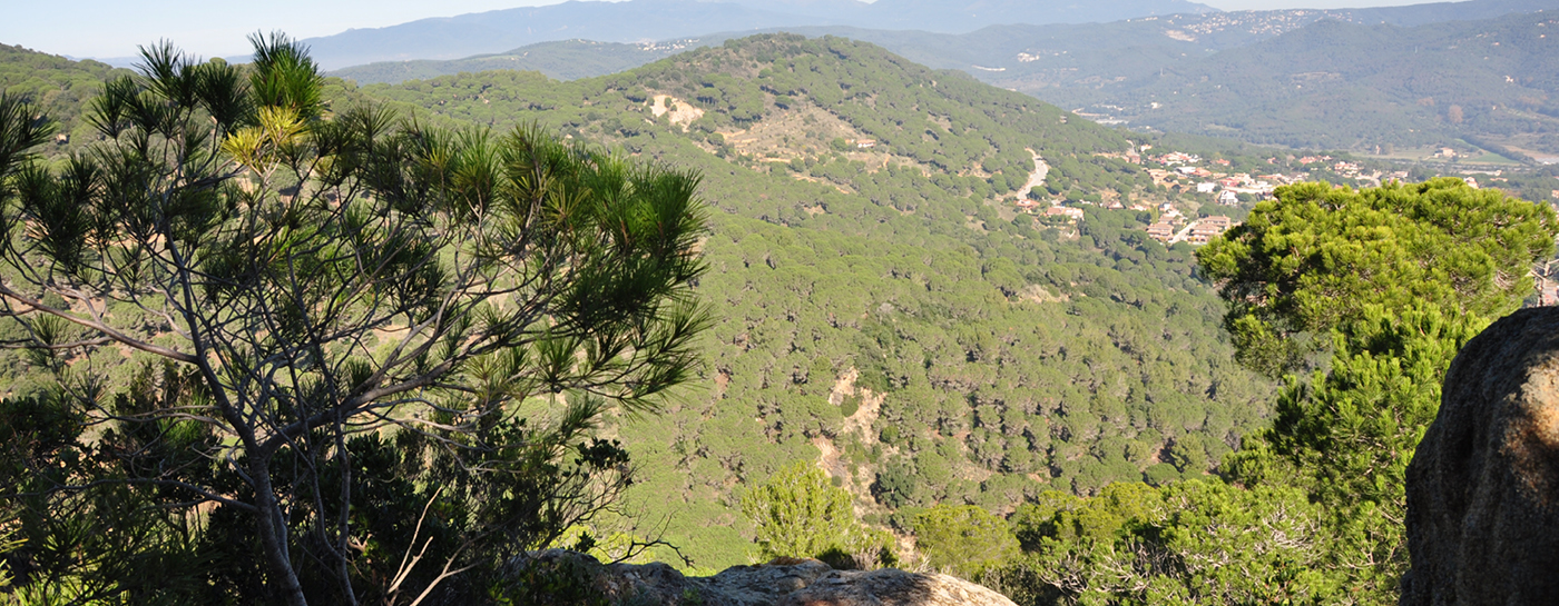 Parc Serralada Litoral