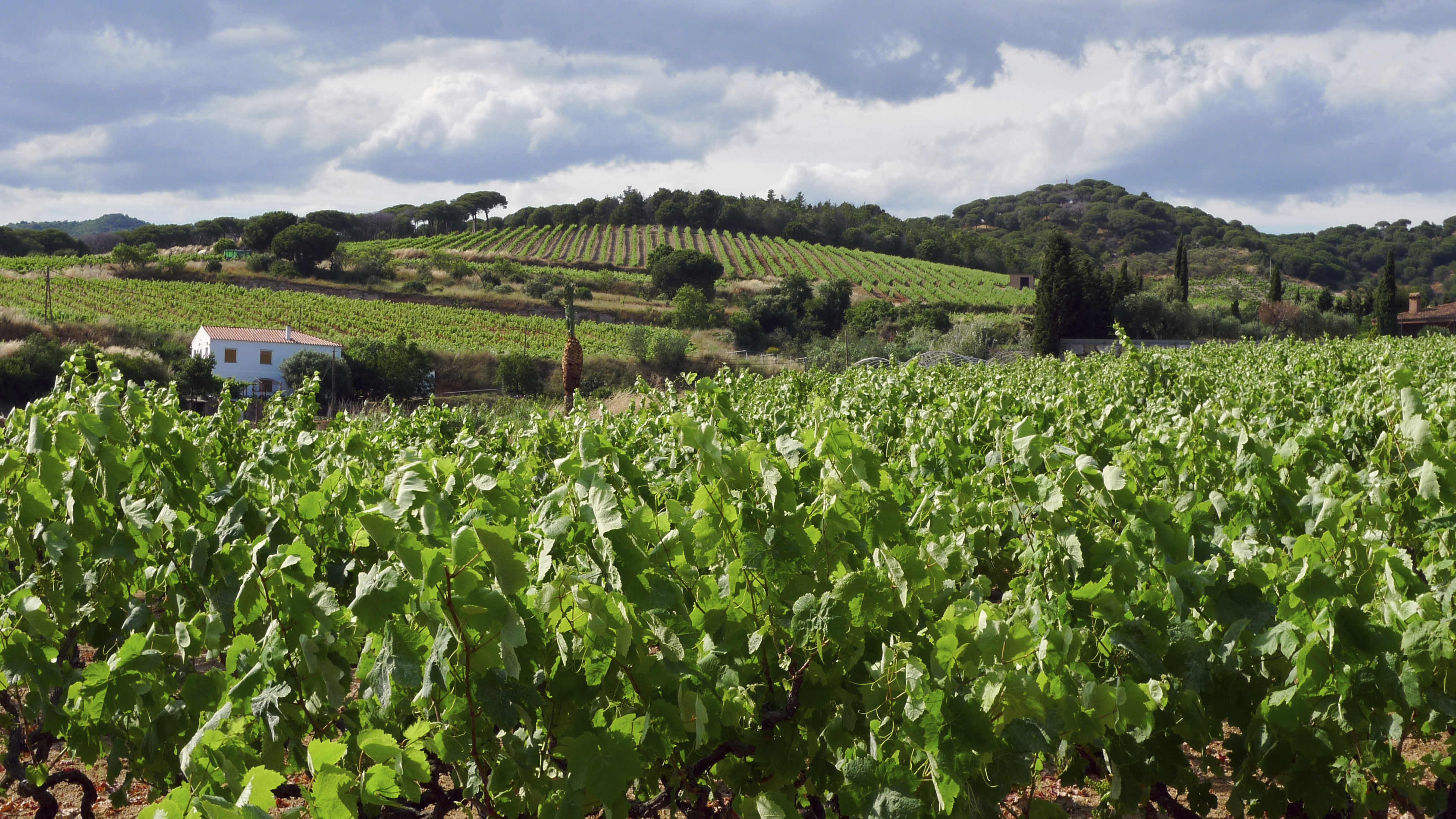 Visita guiada a la Vall de Rials