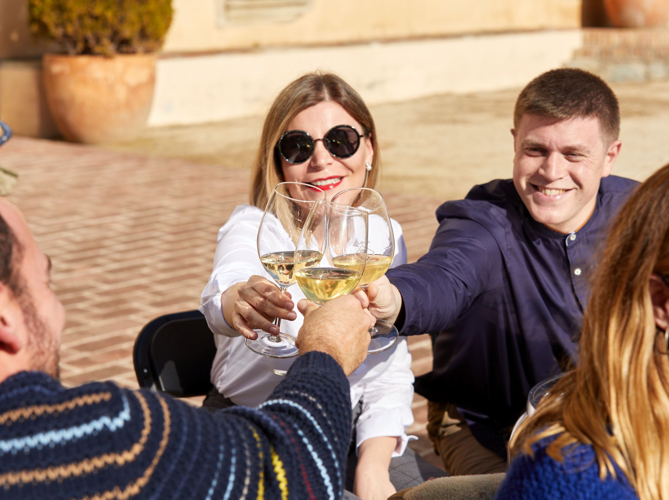 Diumenges de Vins