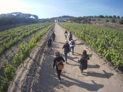 Nordic Walking & wines